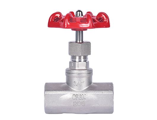 Stainless Steel Threaded Globe Valve