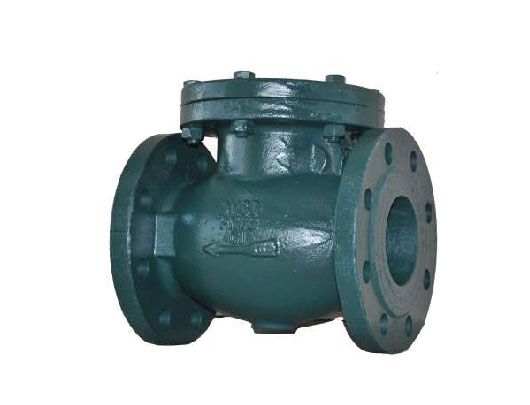 Swing Check Valve