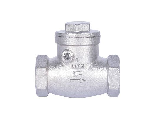 Stainless Steel Threaded Swing Check Valve