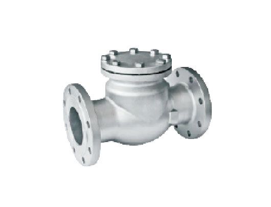 Stainless Steel Flange Swing Check Valve