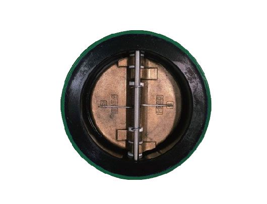 Vulcanized Dual Plate Check Valve